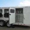2019 Cimarron Showstar 6 pen - Image 6